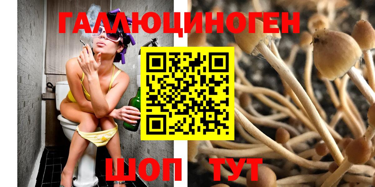 Феодосия  Псилоцибиновые грибы прущие грибы  Вход с VPN 